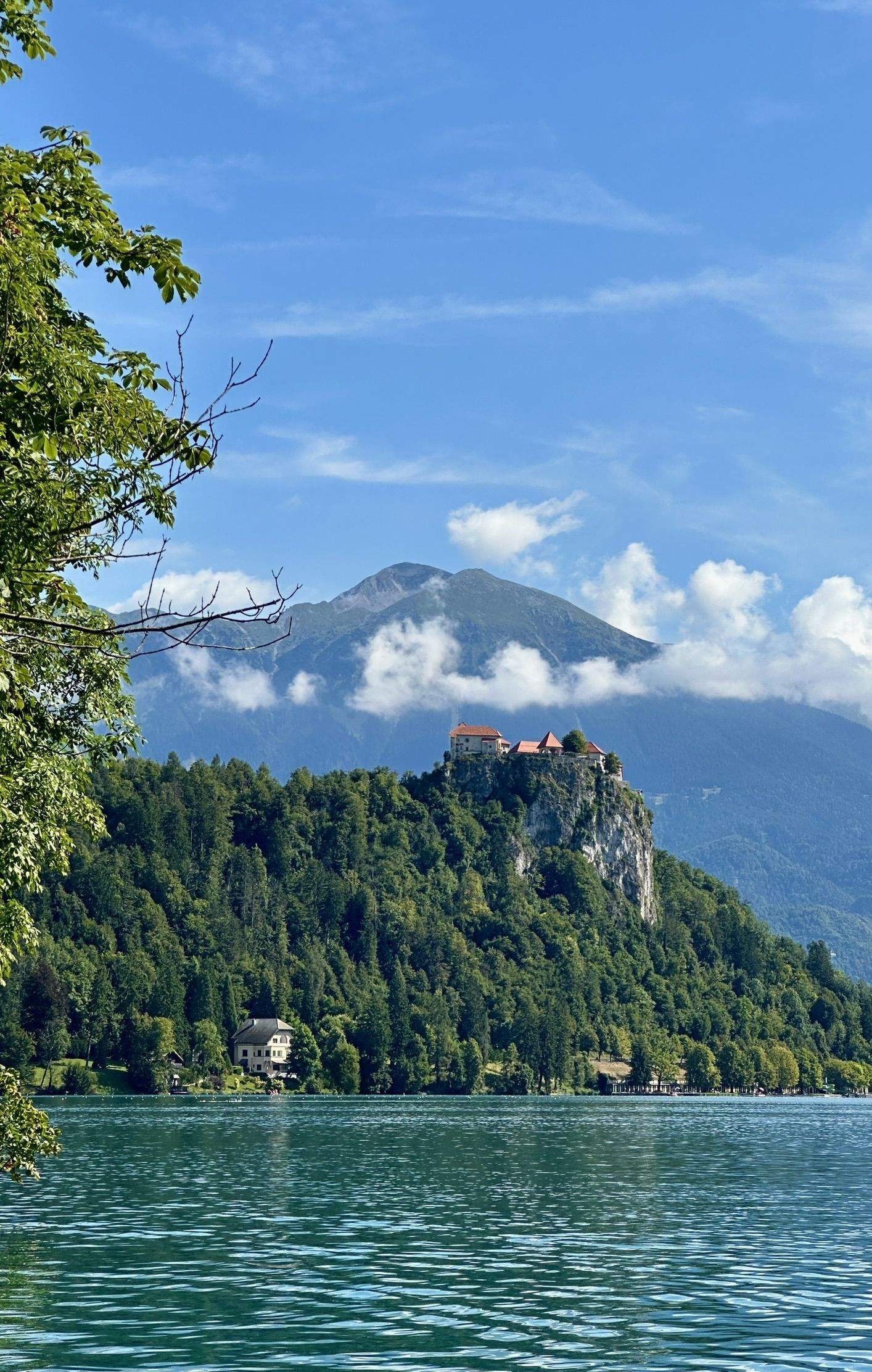 El guardià del llac eslovè · Bled, Eslovènia FOTO: Carlos Lázaro Escriche