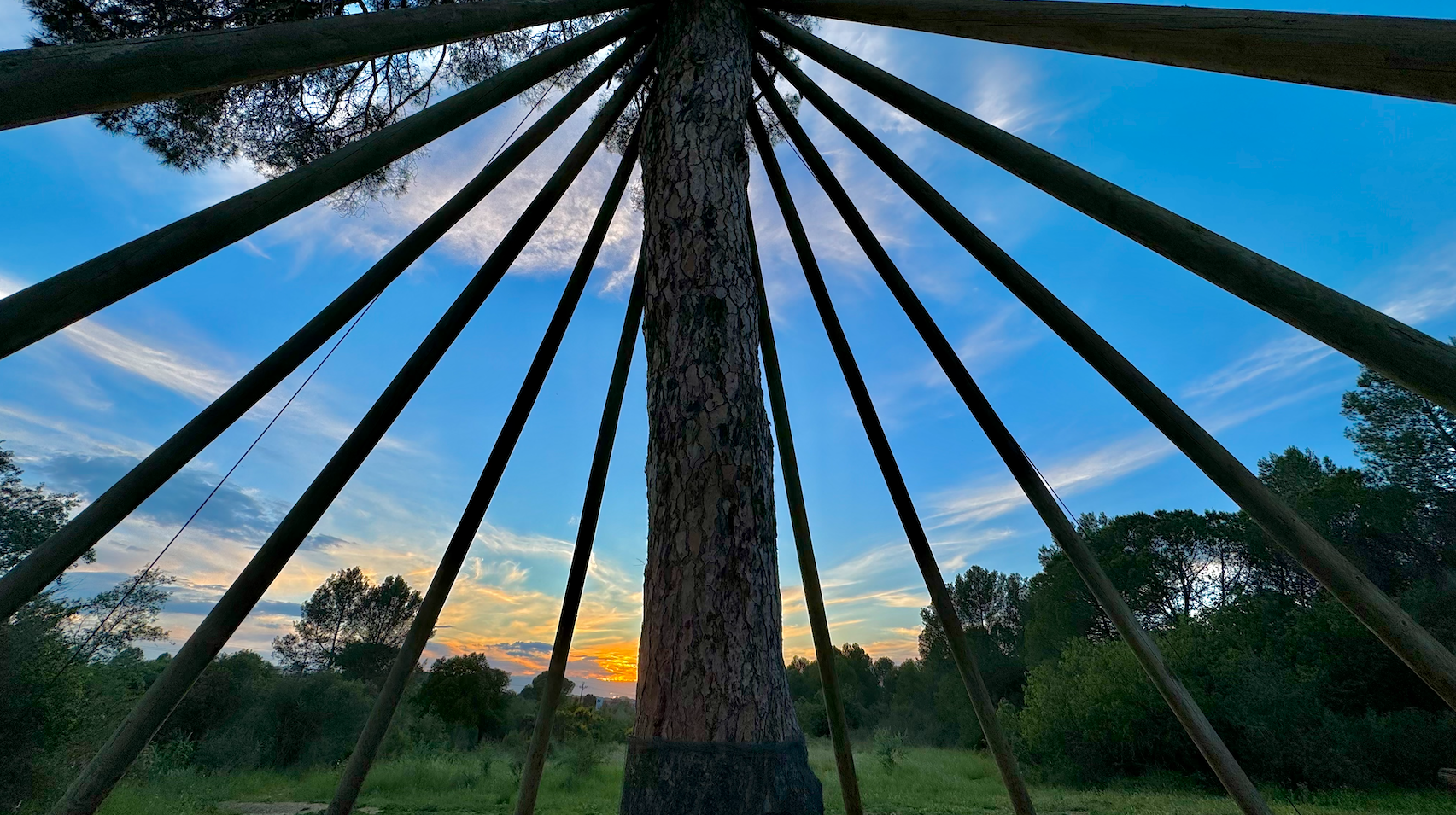 Puesta de sol bajo el árbol - 21 Mayo · Pi d'en Xandri FOTO: Fatemeh Jafari