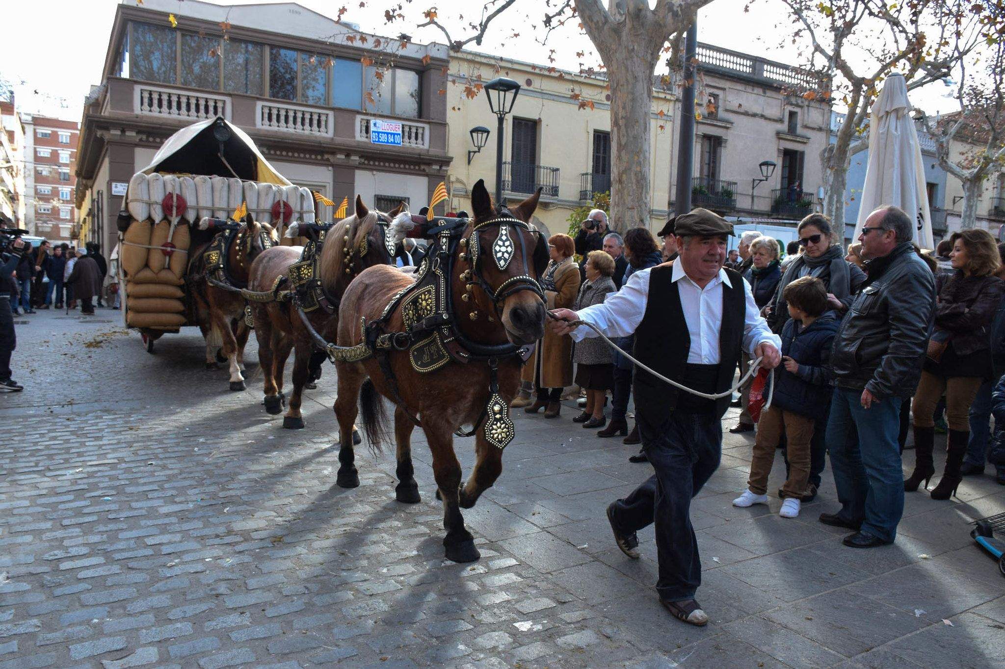 Una de les aparicions del carro gran de Joan Torné als Tres Tombs de Sant Cugat. 2015. FOTO: Ajuntament