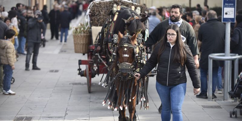Un dels carruatges dels Tres Tombs FOTO: Bernat Millet (TOT)