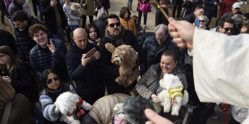 Benedicció d'animals de companyia FOTO: Bernat Millet (TOT)