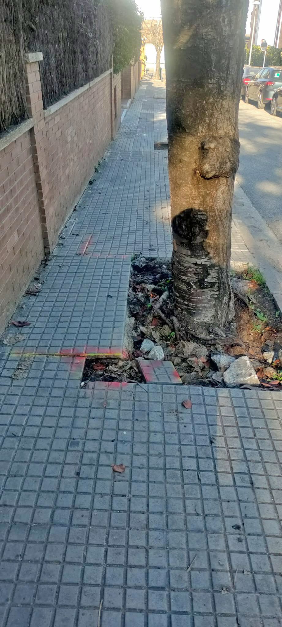 Carrer de Sant Josep. FOTO:  Xavier Clavel