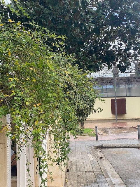 Deixadesa al carrer de Tetuan. FOTO: Matilde Estévez