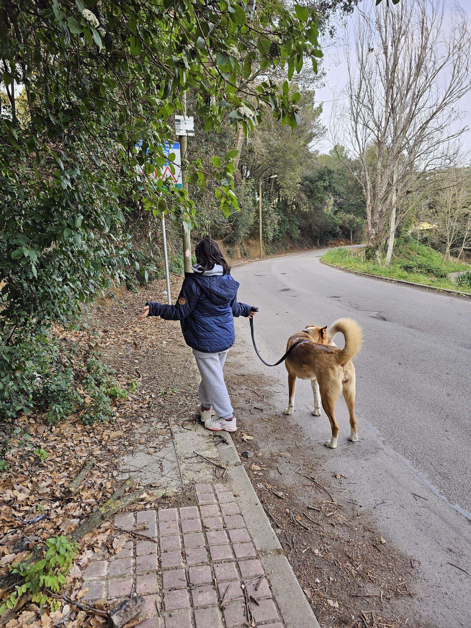 Voreres que acaben al no res. FOTO: Anna Ramírez