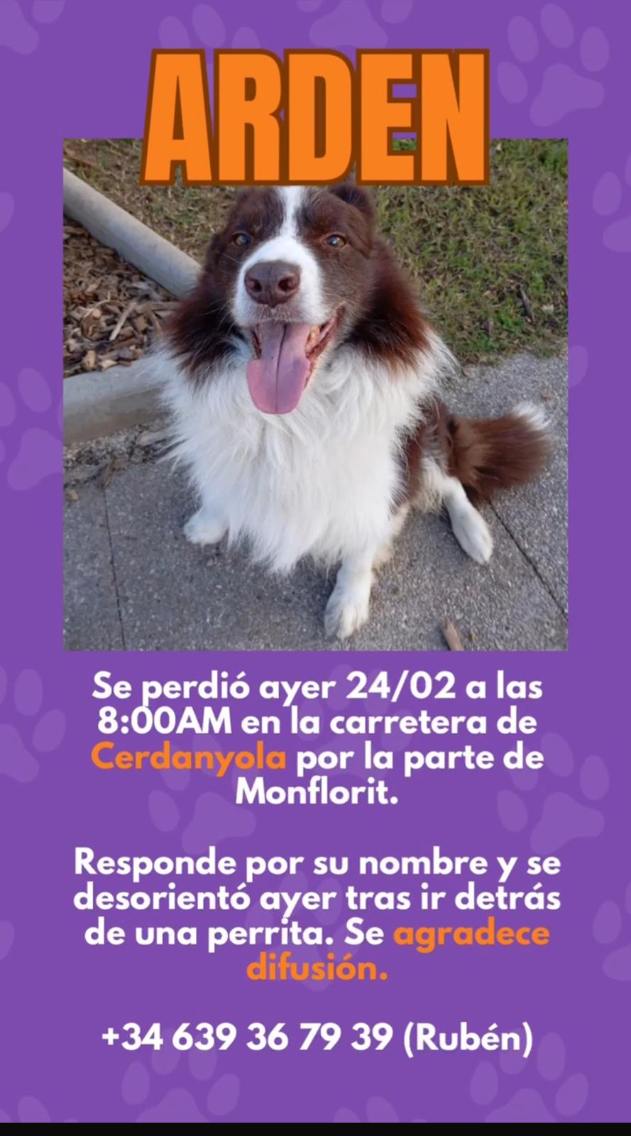 Busquen a l'Arden. FOTO: Cedida