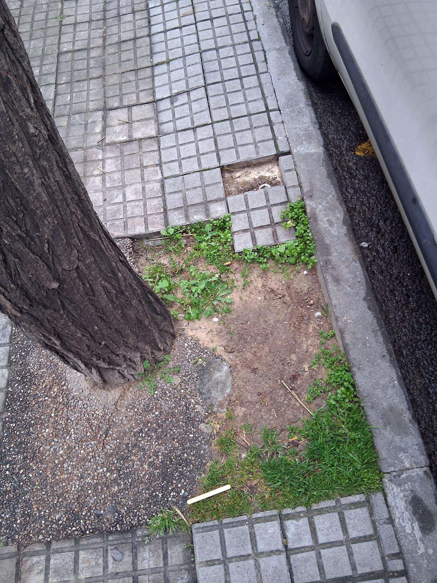 Les voreres del passeig de Sant Magí. FOTO: Lorda Aguilar