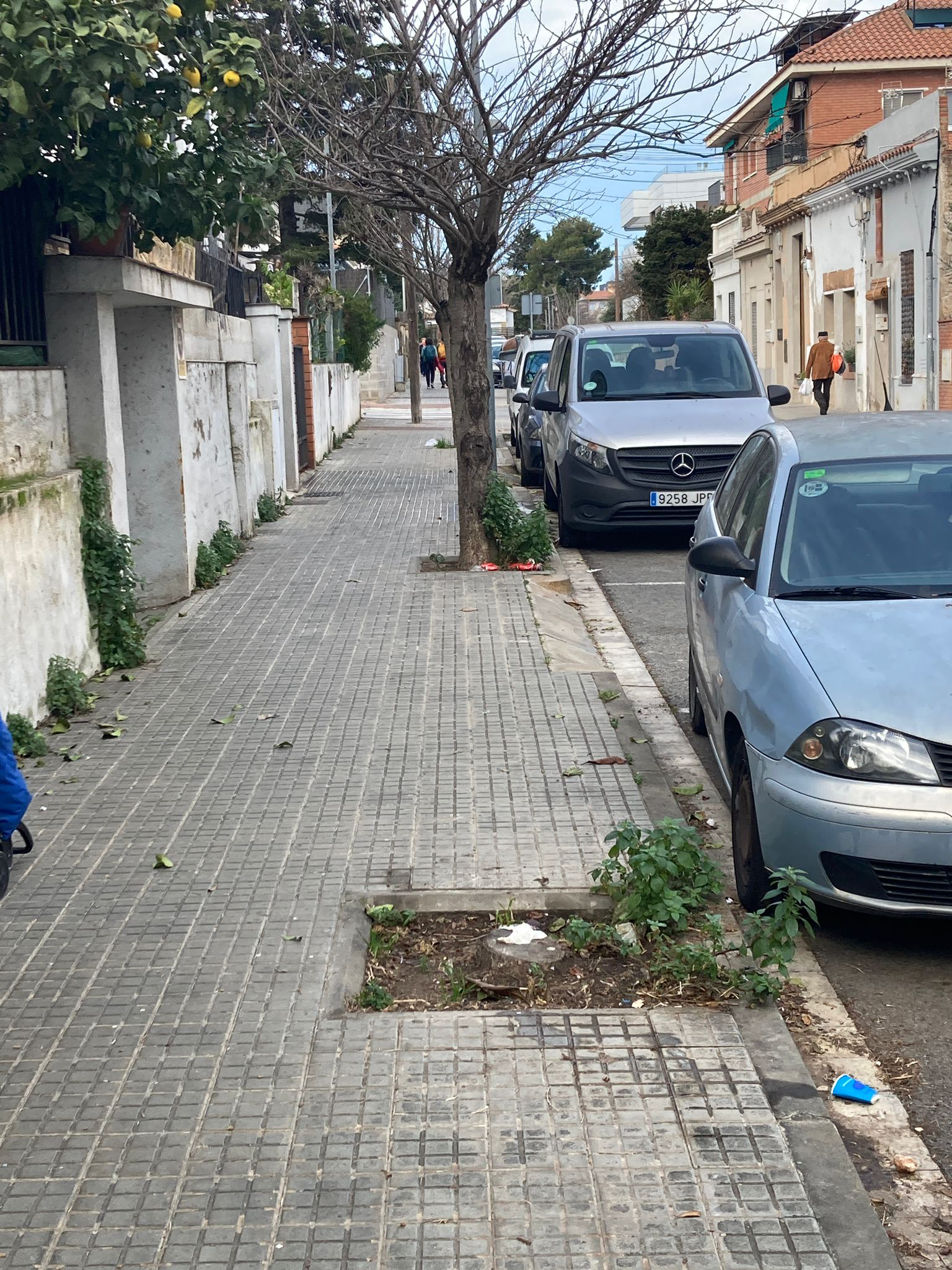 Estat del carrer d’Estapé al centre de la ciutat. FOTO: Lluís Puig