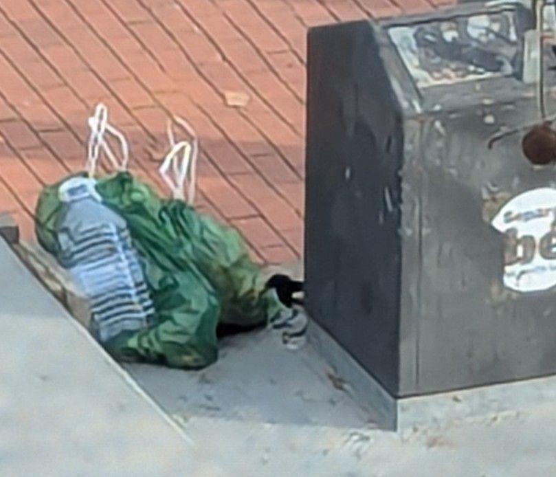 Una bossa de brossa a fora del contenidor. FOTO: Jose A. Lorenz