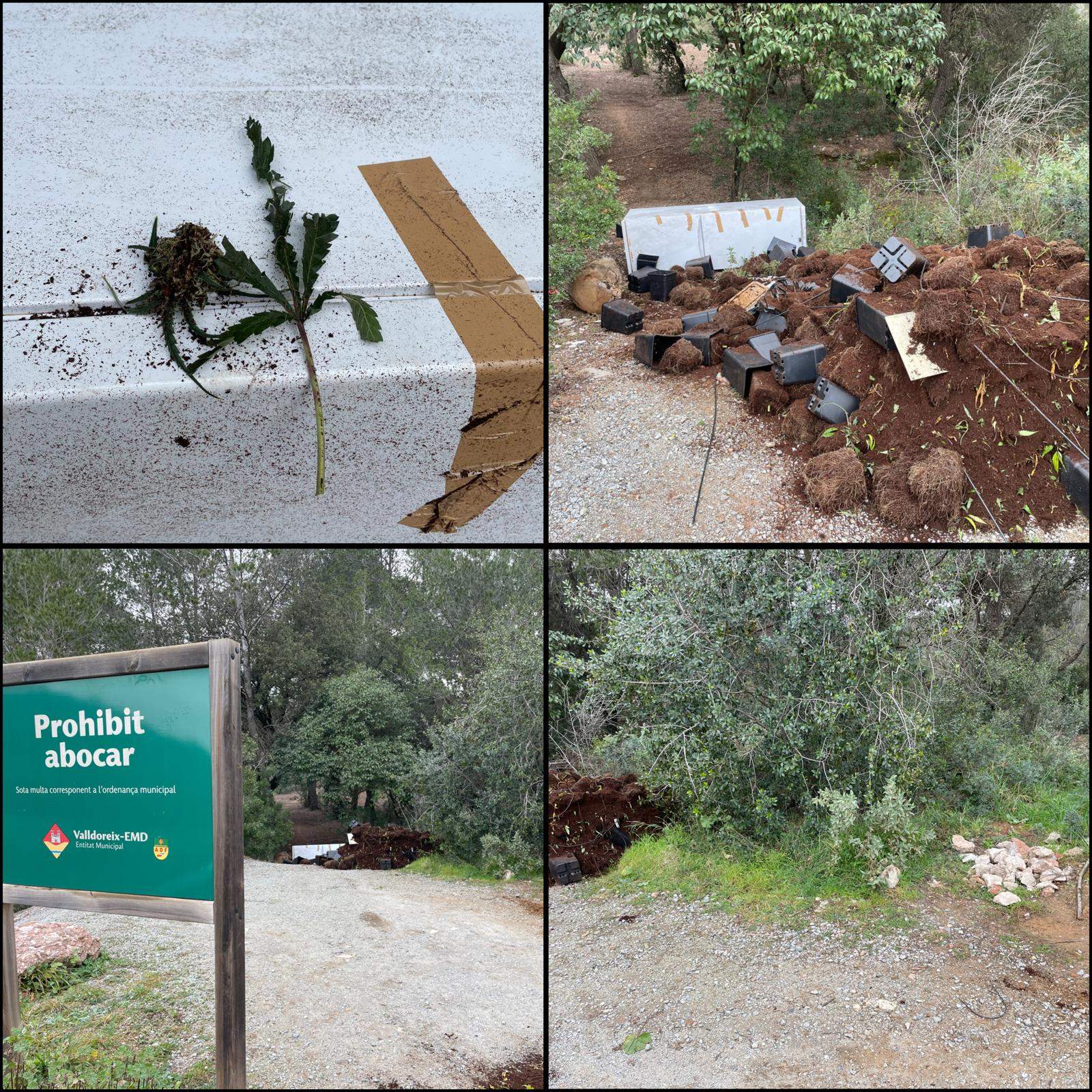 Abocament al Camí de la Salut. FOTO: Carme León