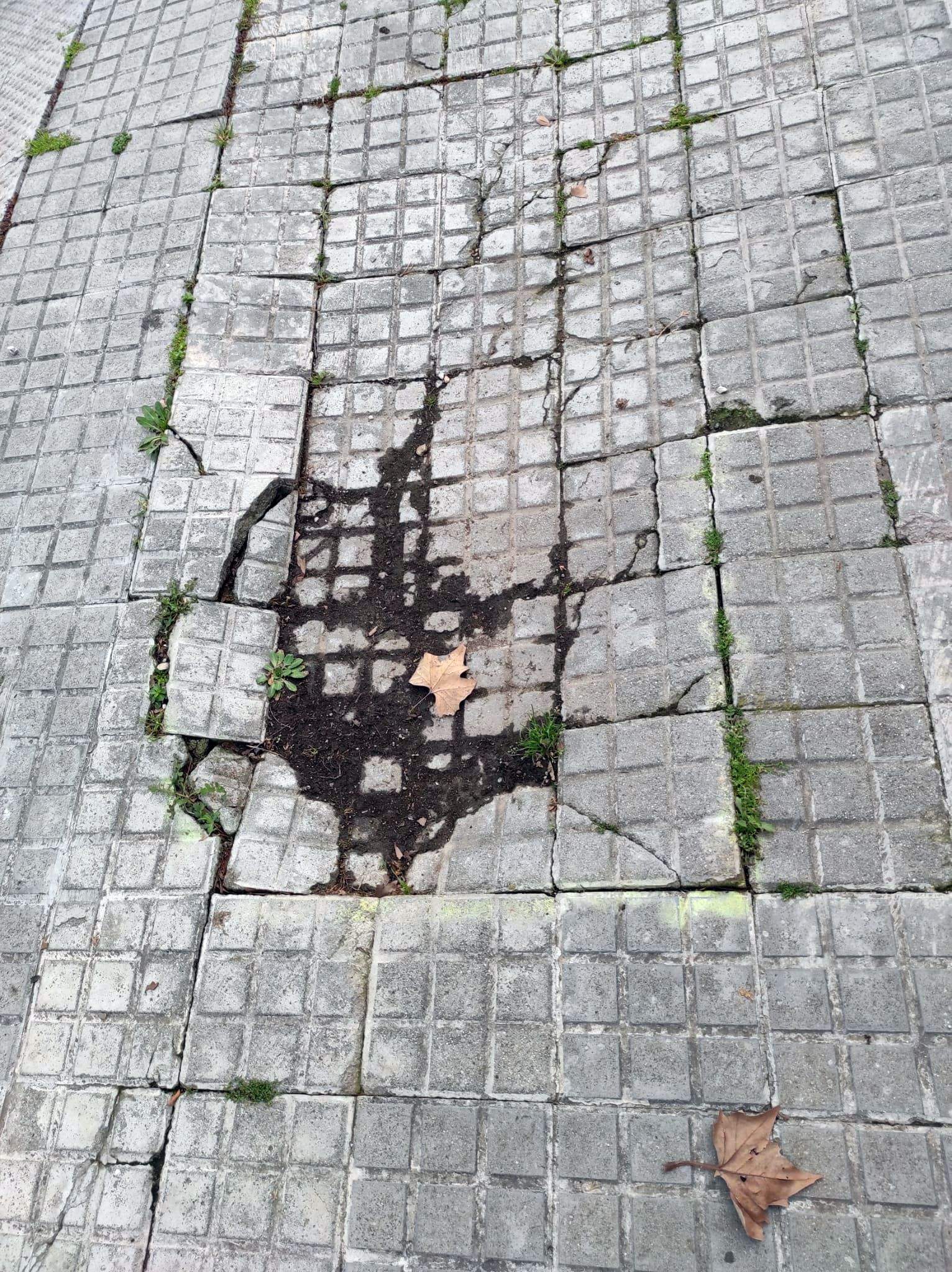 Prioritzar arreglar les voreres. FOTO: Rosa Maria Bastardas