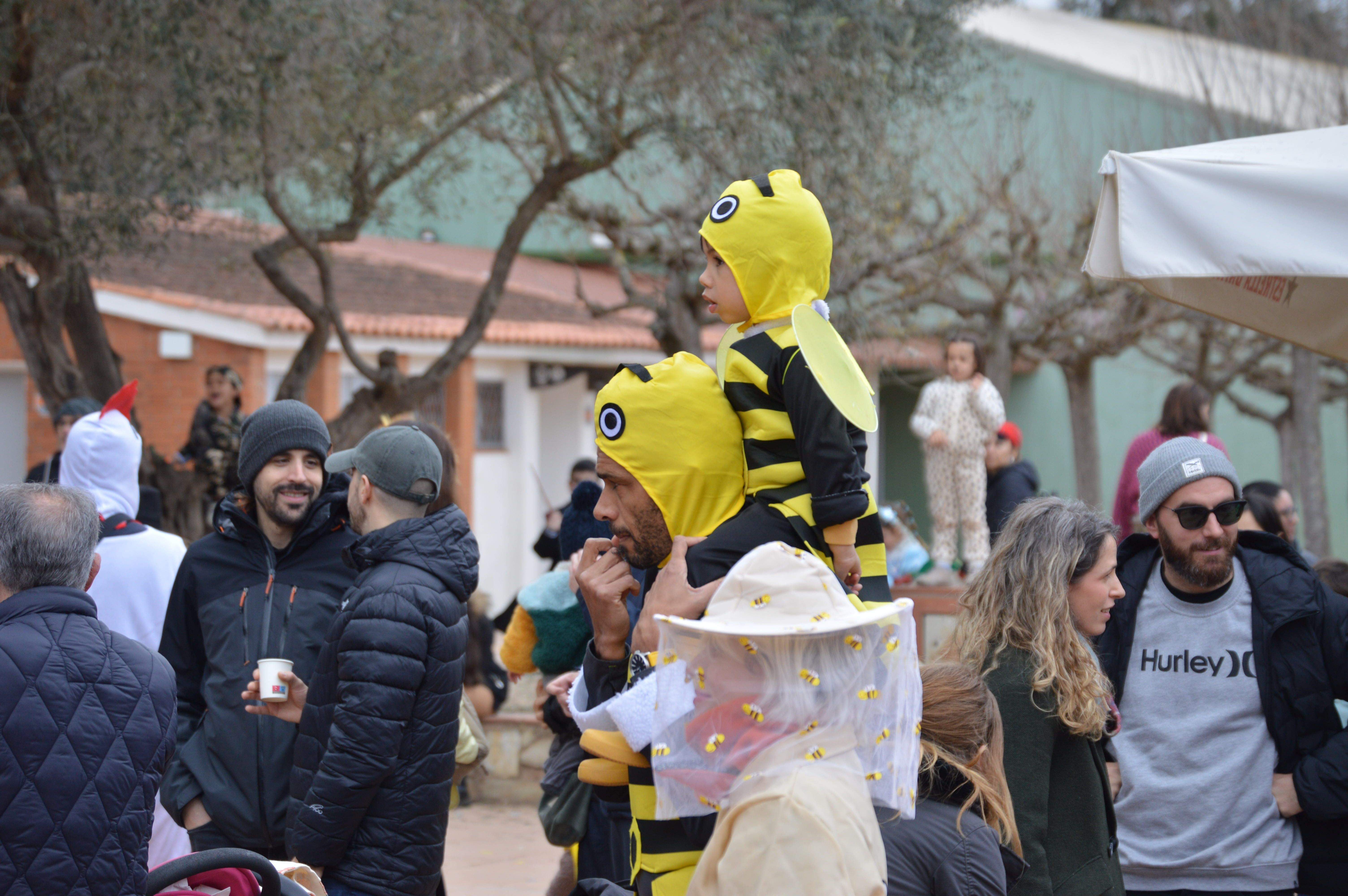 Carnaval a Valldoreix FOTO: Nora Muñoz (TOT Sant Cugat) 