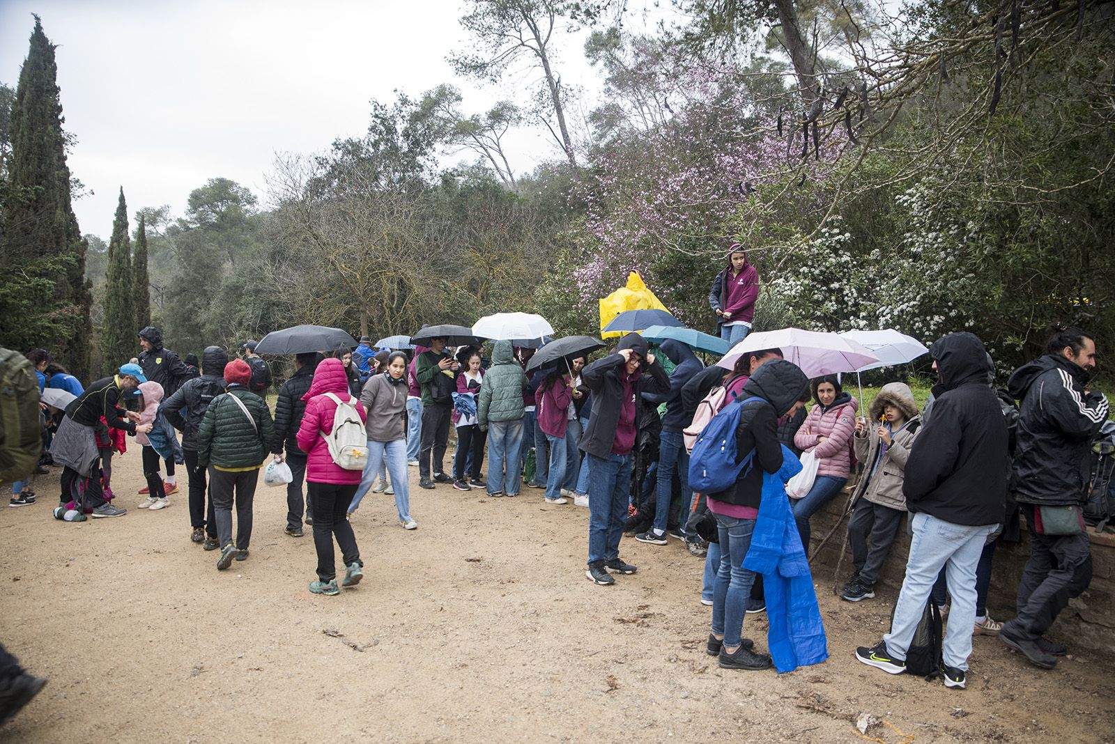 Sant Medir. FOTO: Bernat Millet.