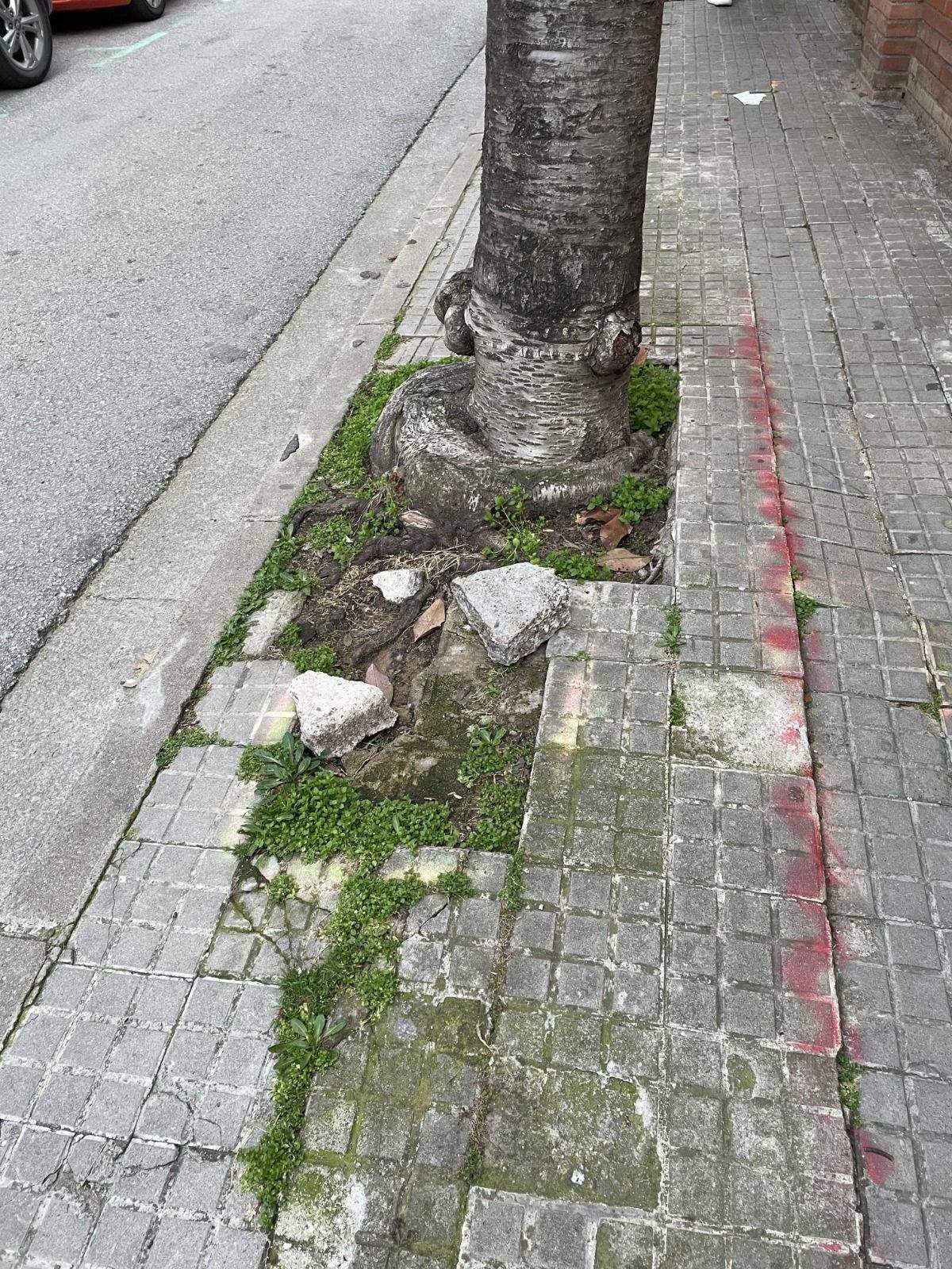 Una vergonya!. FOTO: Jose Luis Pesado