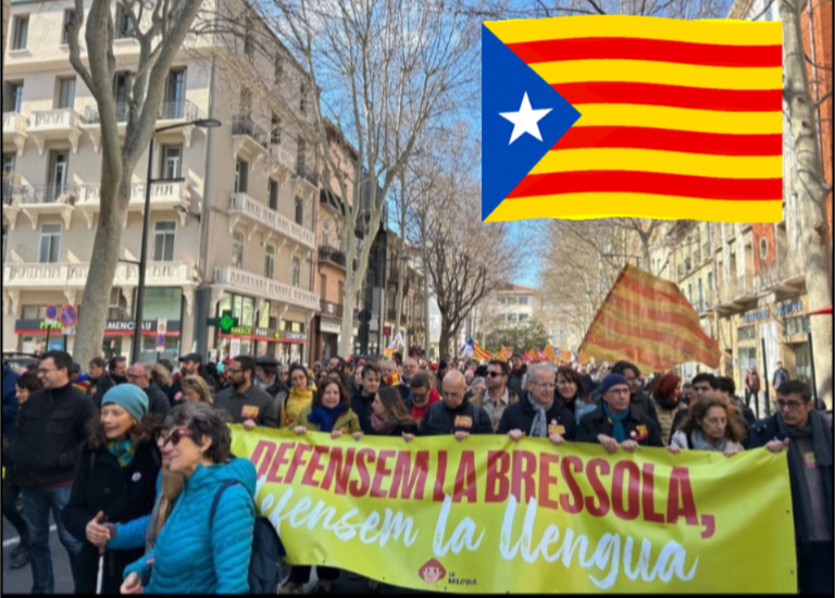 Manifestació per la llengua catalana. FOTO: Lluna Fabregat