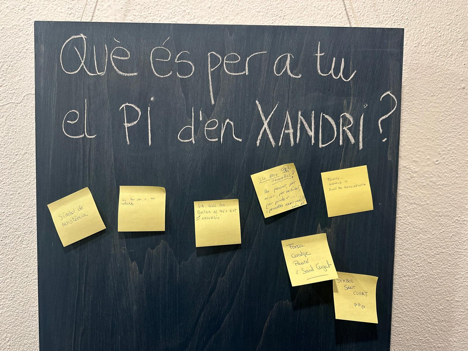 Inauguració d' 'Els colors secrets del Pi d'en Xandri'. FOTO: Lluna Fabregat