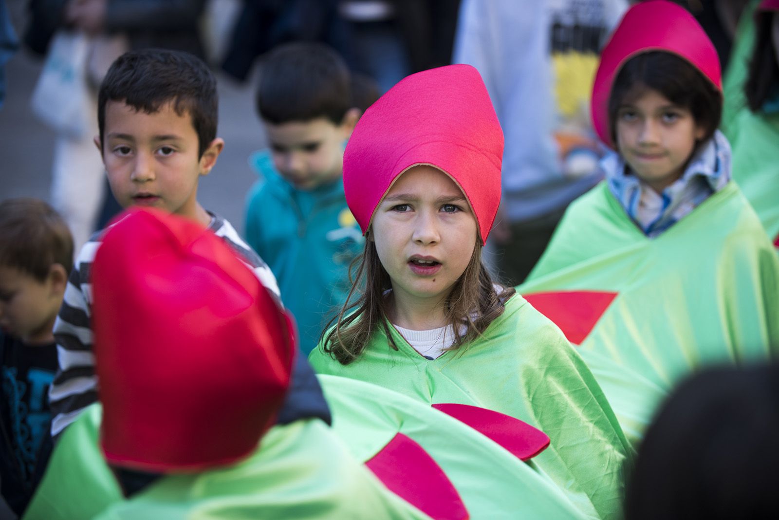 Cercavila d'Escoles. FOTO: Bernat Millet.