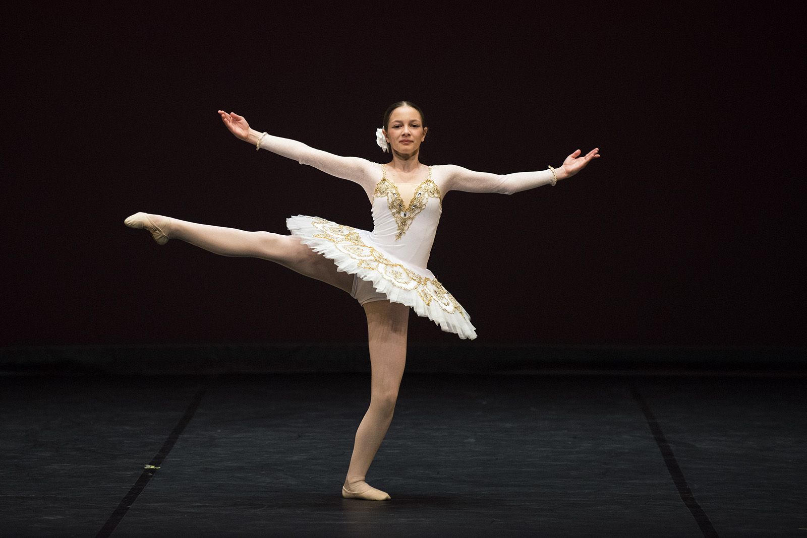 Gala AEDA. FOTO: Bernat Millet.