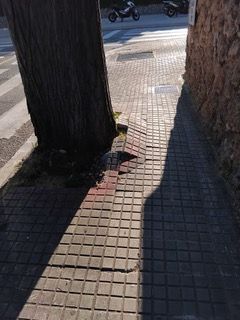 Carrer en mal estat. FOTO: Josep Pla Ros