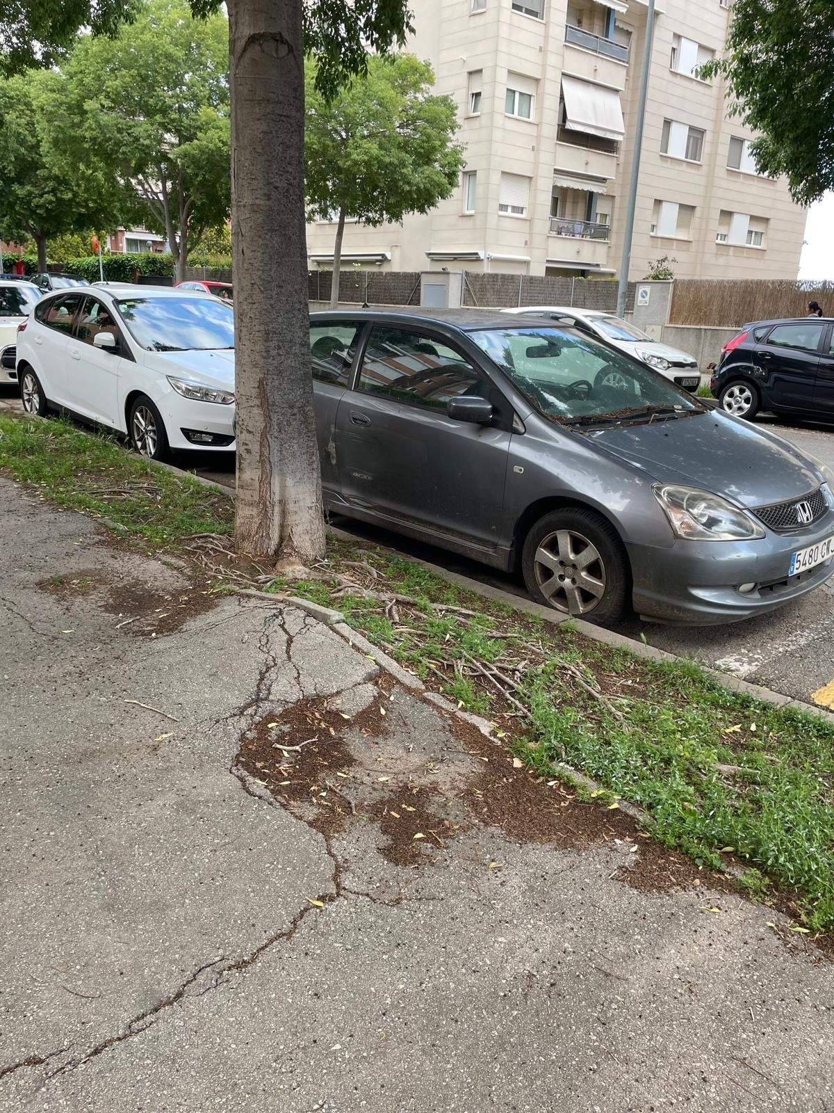 Mal estat i abandonament de la vorera. FOTO: Javier Zuloaga