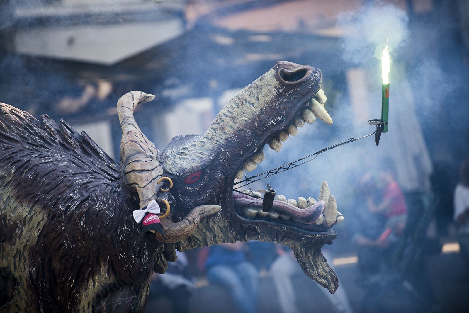 30è aniversari del Grup Mediterrània. FOTO: Bernat Millet.