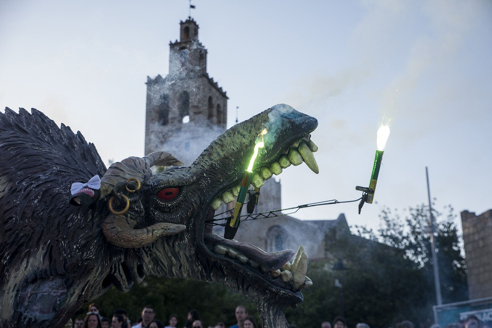 30è aniversari del Grup Mediterrània. FOTO: Bernat Millet.