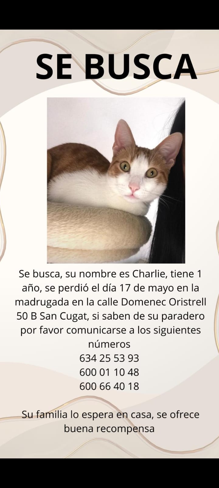 L'anunci publicat per la família del Charlie. FOTO: Cedida