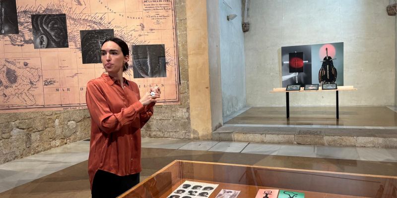 Amanda Bernal a l'exposició 'Pelo Malo' al Claustre del Monestir: FOTO: JR Armadàs 