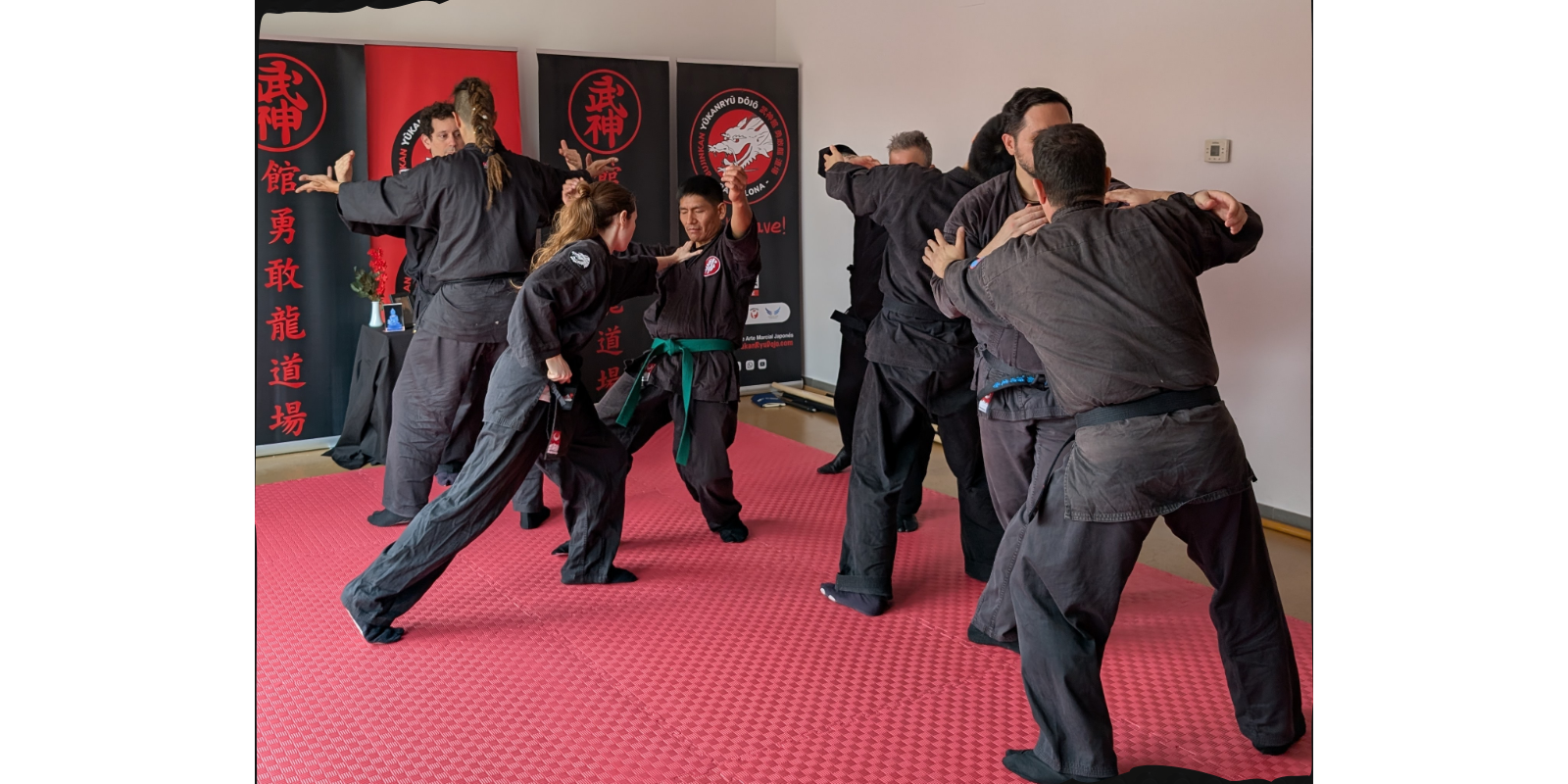 A Bujinkan Sant Cugat podràs fluir. FOTO: Cedida