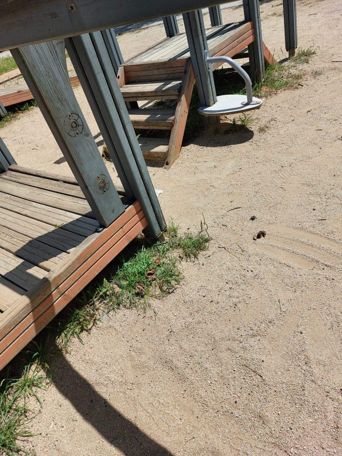 Deixadesa al parc de Coll Favà. FOTO: Maribel Arandia