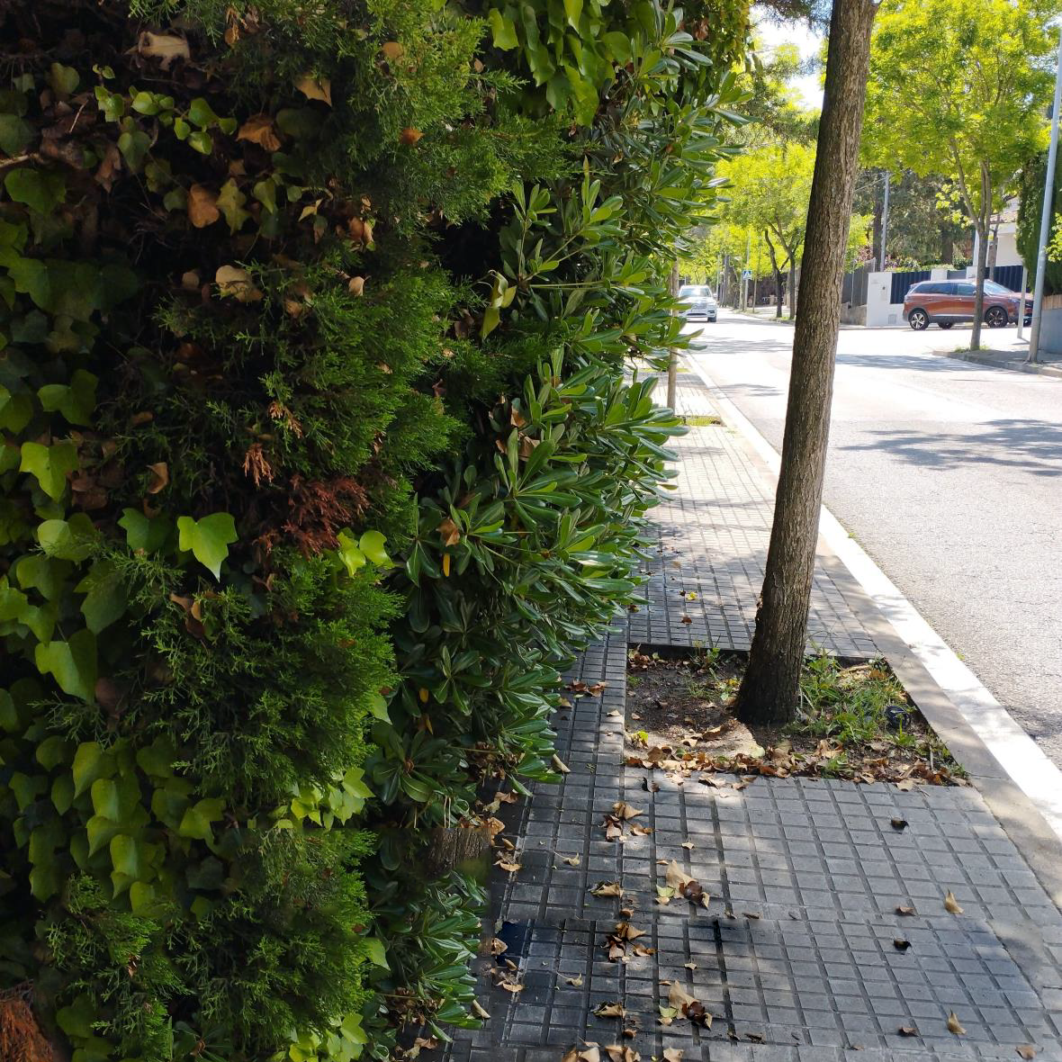 Vorera de l’avinguda de Bilbao. FOTO: Lluis Ma Valle