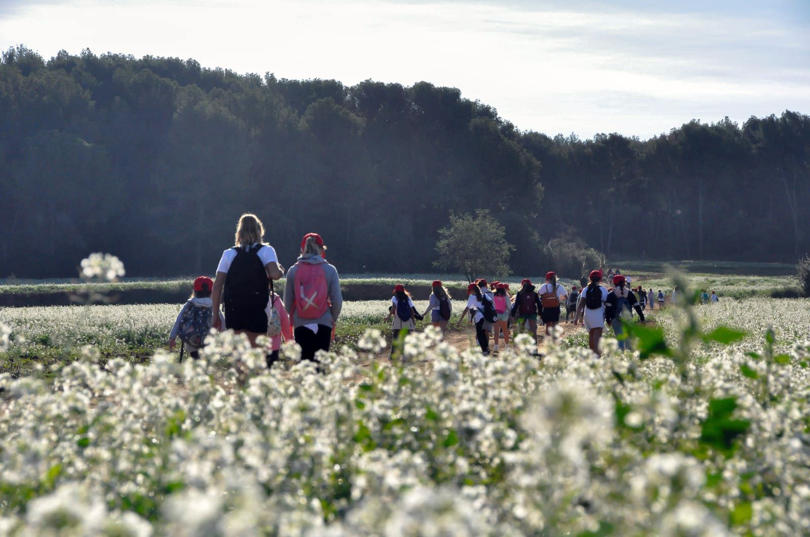 Marxa Infantil. FOTO: Cedida