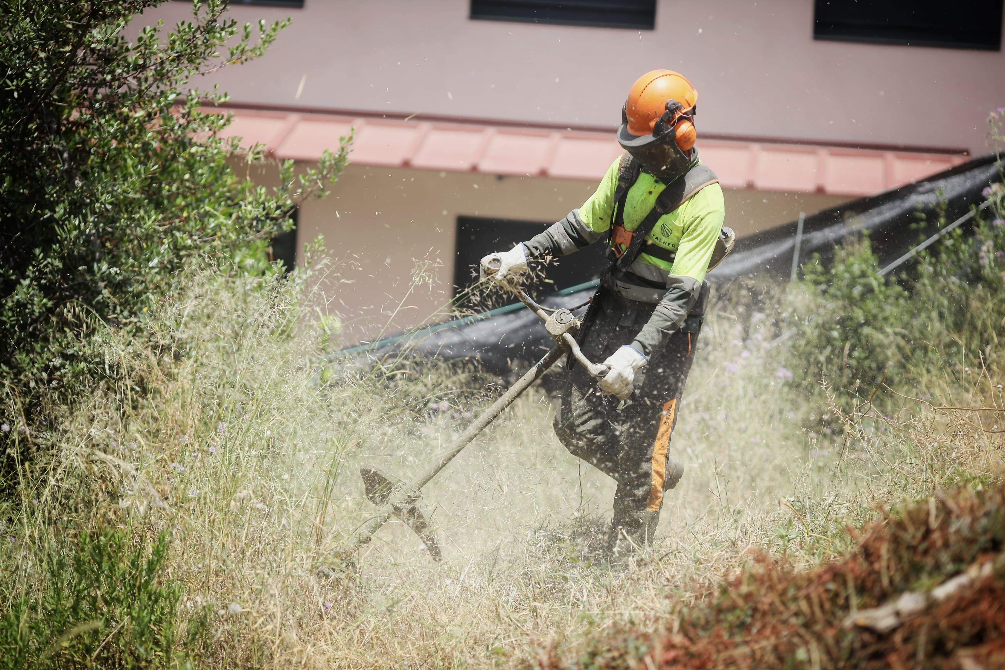 El manteniment de la vegetació és clau en la prevenció d'incendis forestals. FOTO: Ajuntament