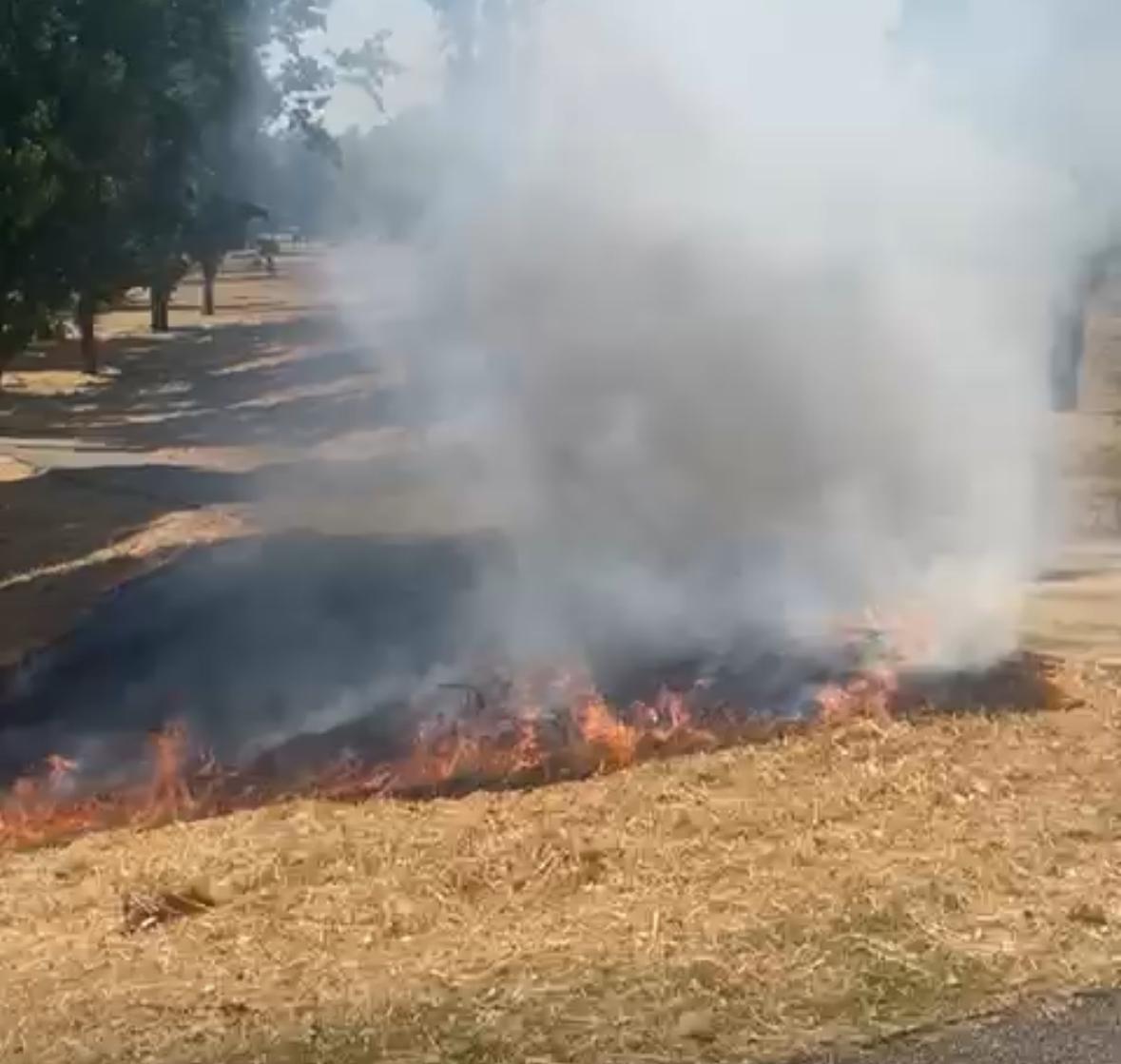 Un petit incendi crema vegetació urbana al parc de Can Vernet. FOTO: Cedida
