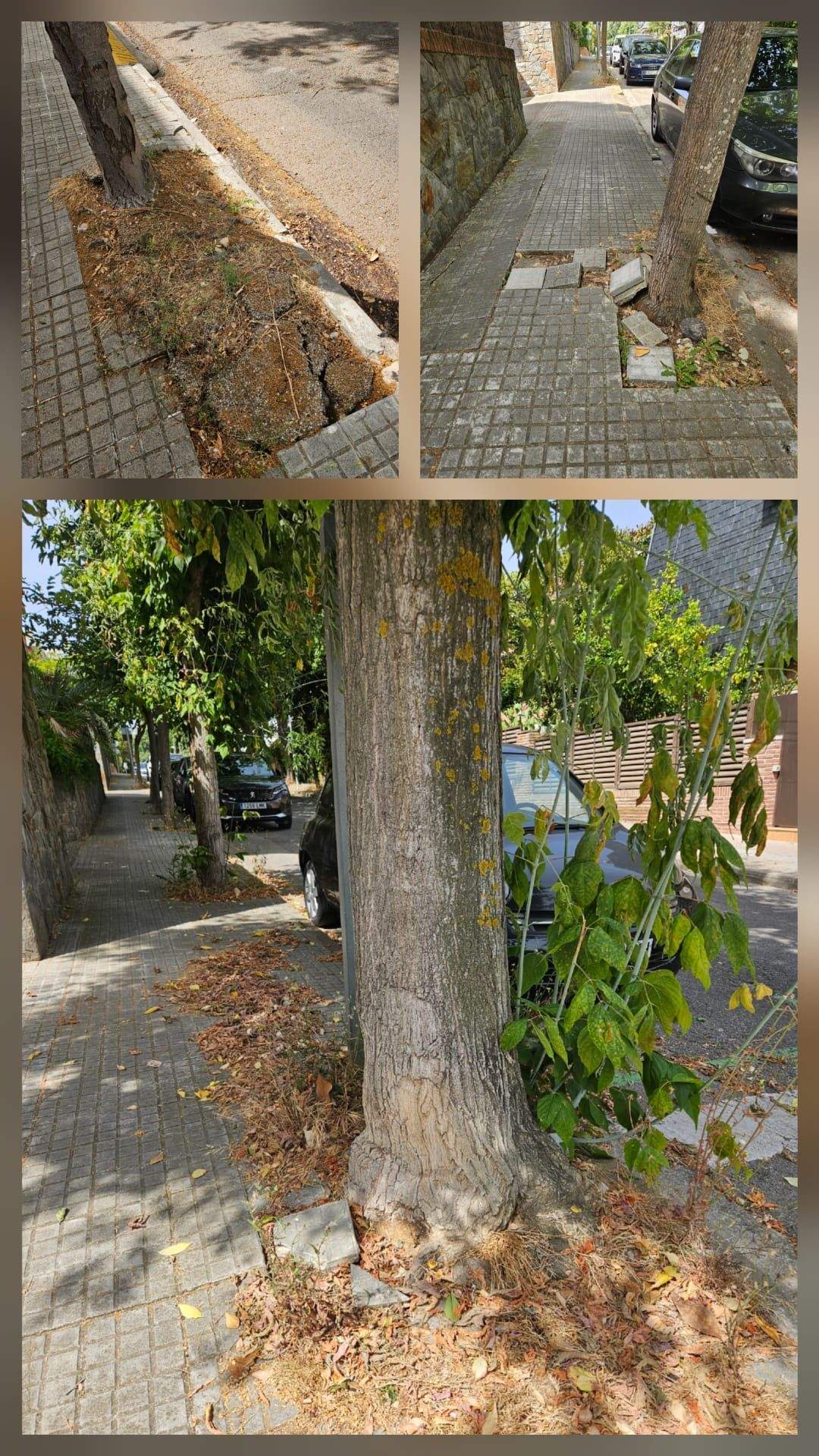 Els carrers en un estat deplorable. FOTO: Maria Dolors Figueras