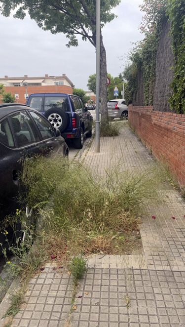 Mal estat dels carrers a Mira-sol. FOTO: Silvia Francés