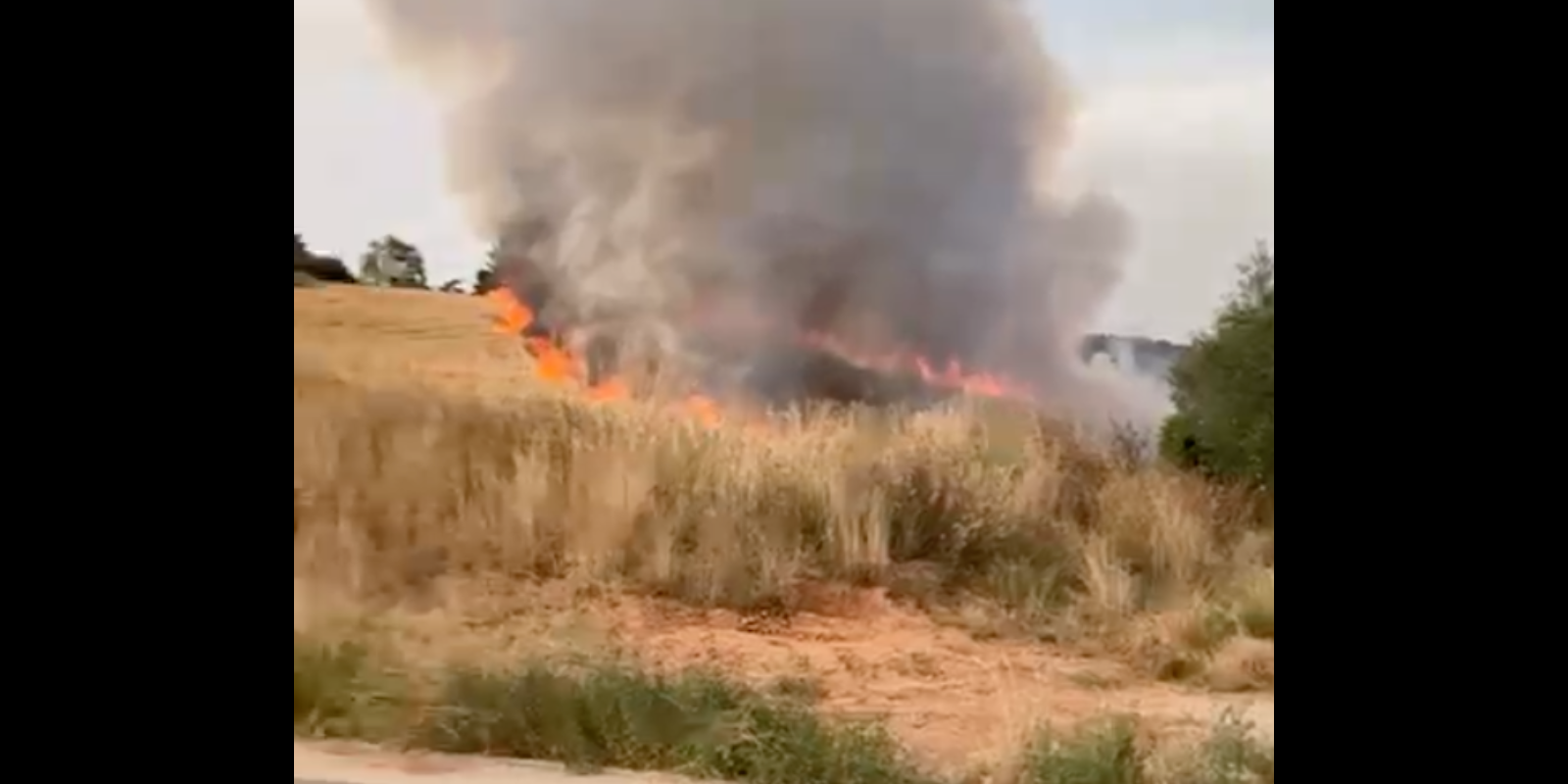 Incendi al costat del parc de Ca n’Oriol. FOTO: Cedida al TOT Sant Cugat