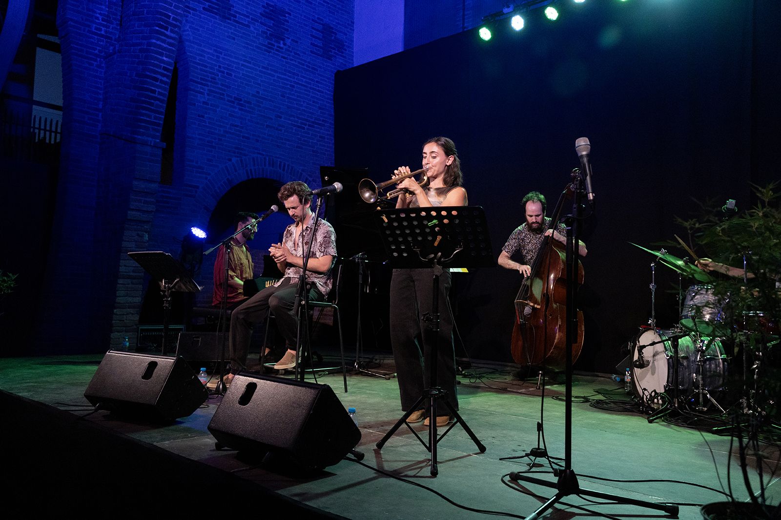 Libérica en concert, amb pere Martínez i Manel Fortià FOTO: Victòria Rovira (TOT Sant Cugat) 