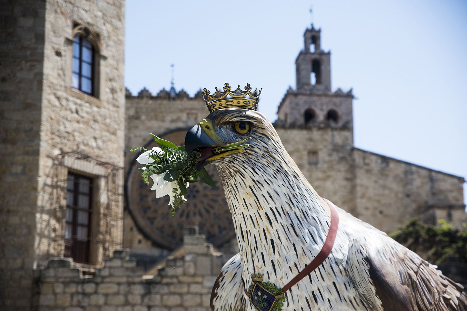 Ball de caparrots IV trobada de balls i entremesos d'arreu de Catalunya. FOTO: Bernat Millet (TOT Sant Cugat) 