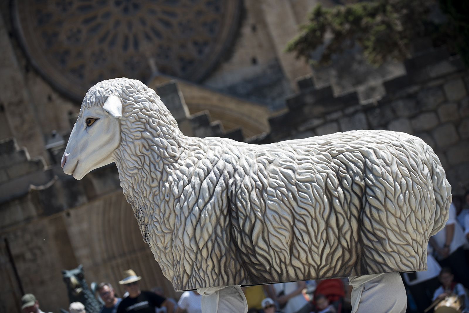 Ball de caparrots IV trobada de balls i entremesos d'arreu de Catalunya. FOTO: Bernat Millet (TOT Sant Cugat) 