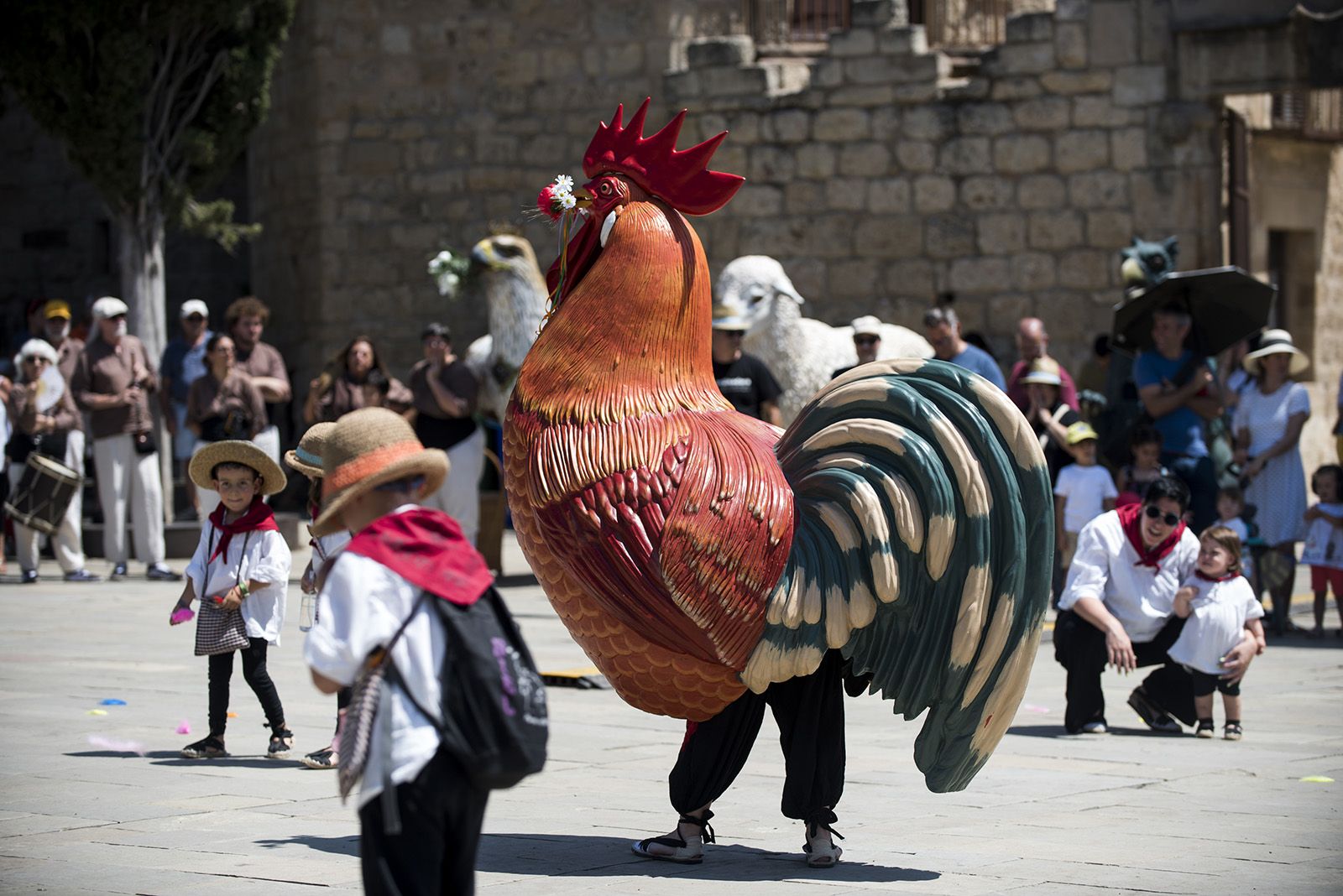 Ball de caparrots IV trobada de balls i entremesos d'arreu de Catalunya. FOTO: Bernat Millet (TOT Sant Cugat) 