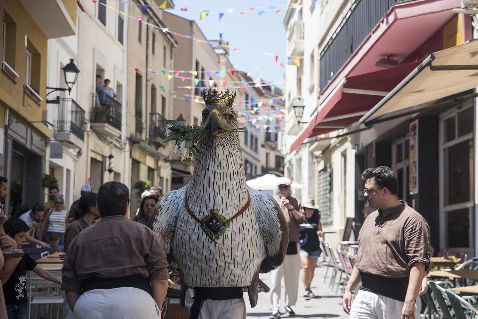 Ball de caparrots IV trobada de balls i entremesos d'arreu de Catalunya. FOTO: Bernat Millet (TOT Sant Cugat) 