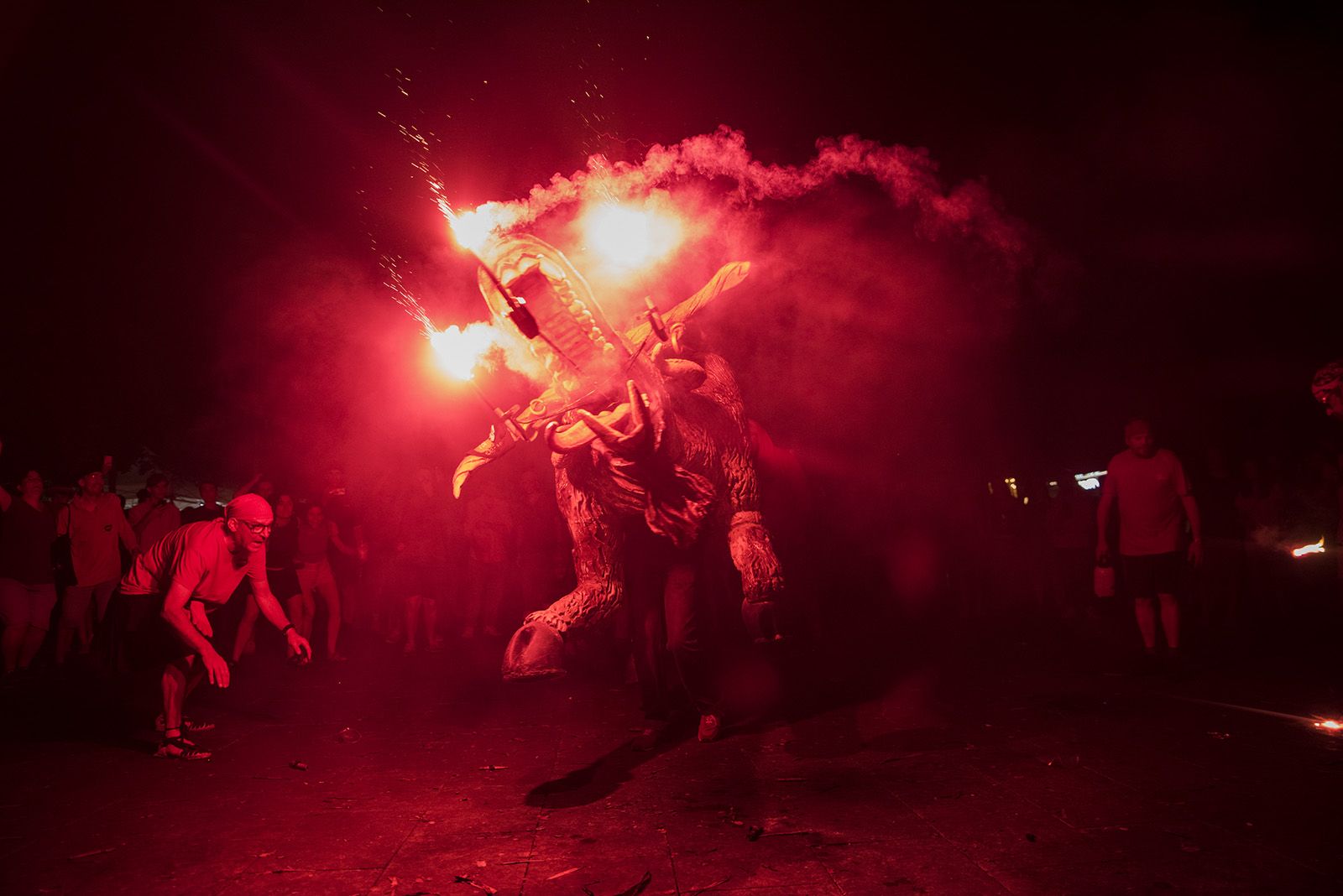 Seguici nocturn. FOTO: Bernat Millet.