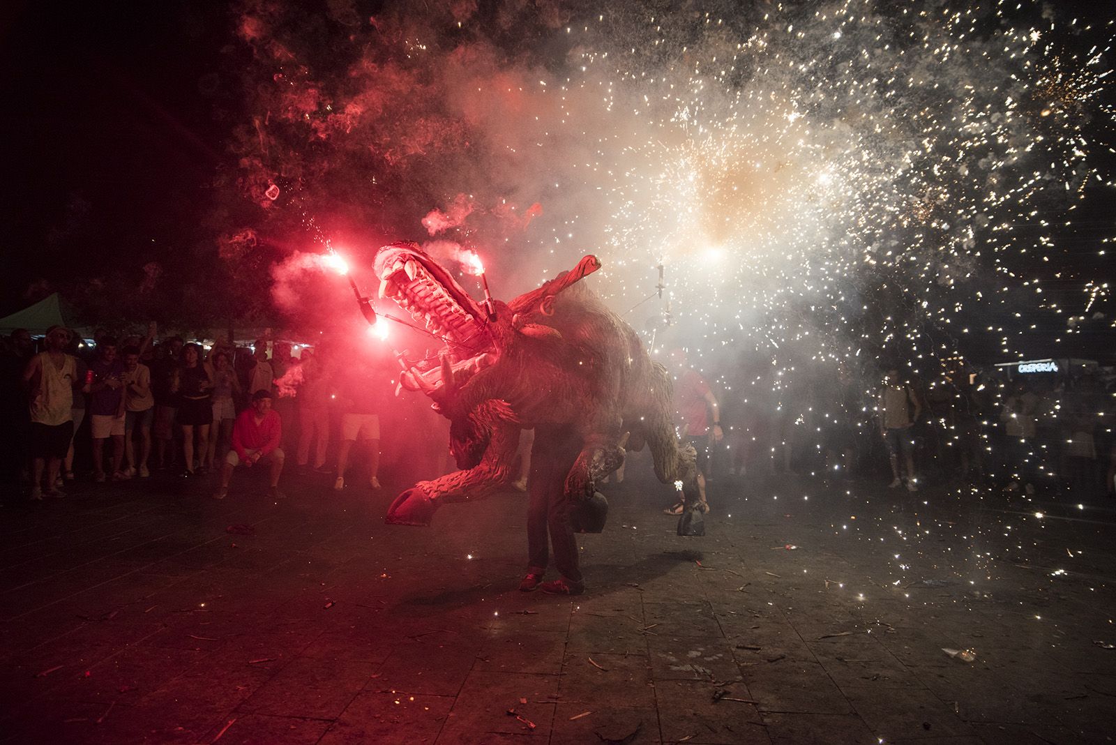 Seguici nocturn. FOTO: Bernat Millet.