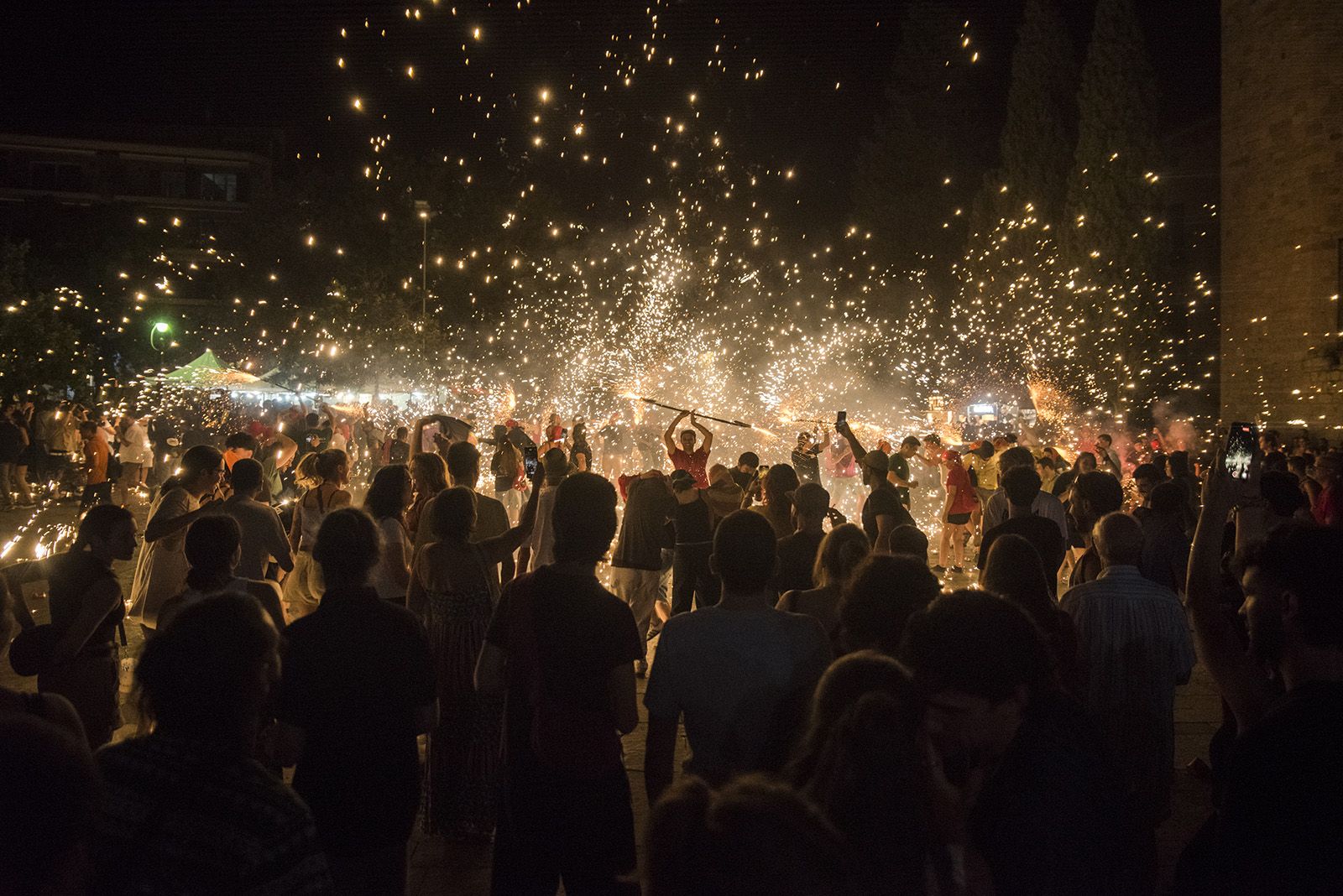 Seguici nocturn. FOTO: Bernat Millet.