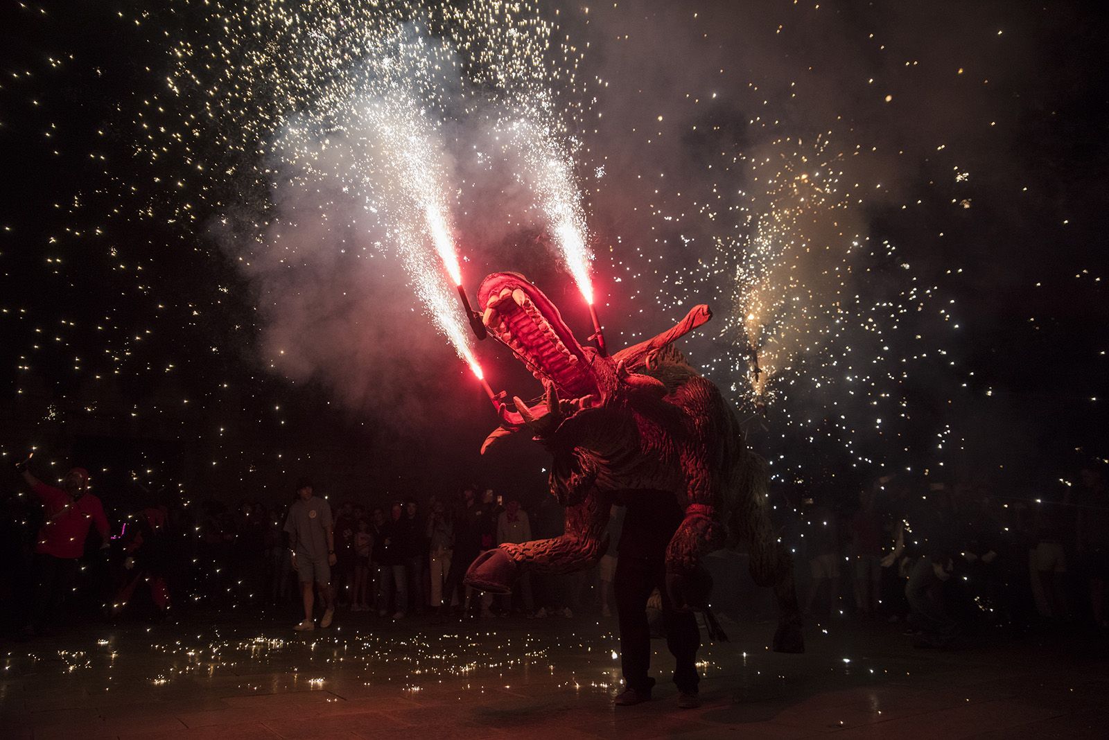 Correfoc de Festa Major. FOTO: Bernat Millet.