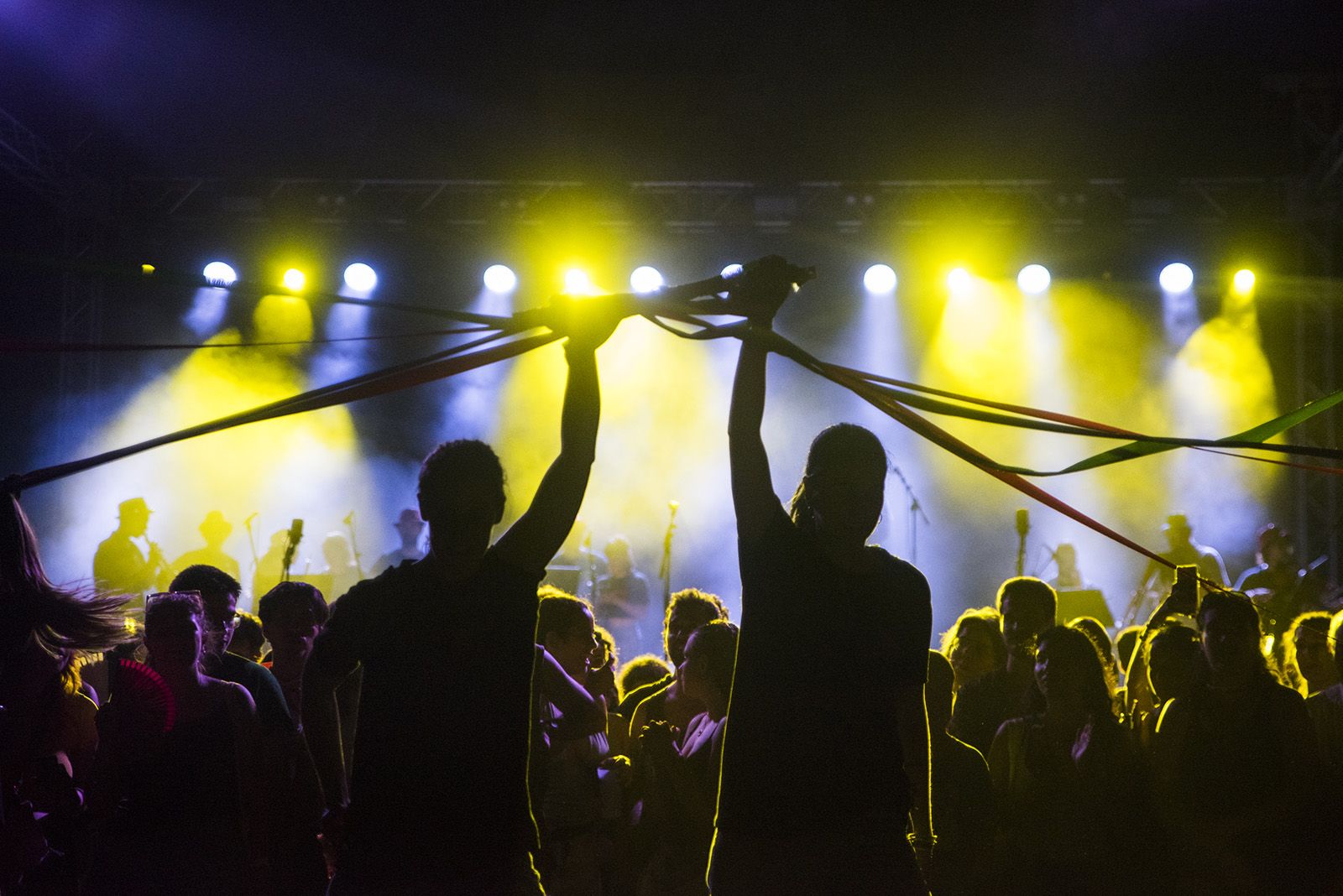 Seguici nocturn. FOTO: Bernat Millet.