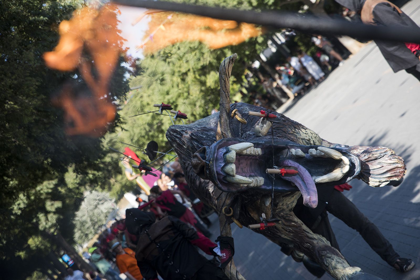 Seguici de Sant Pere. FOTO: Bernat Millet.