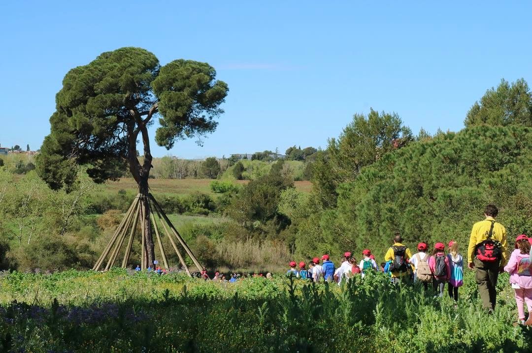 Marxa Infantil 2025. FOTO: Cedida