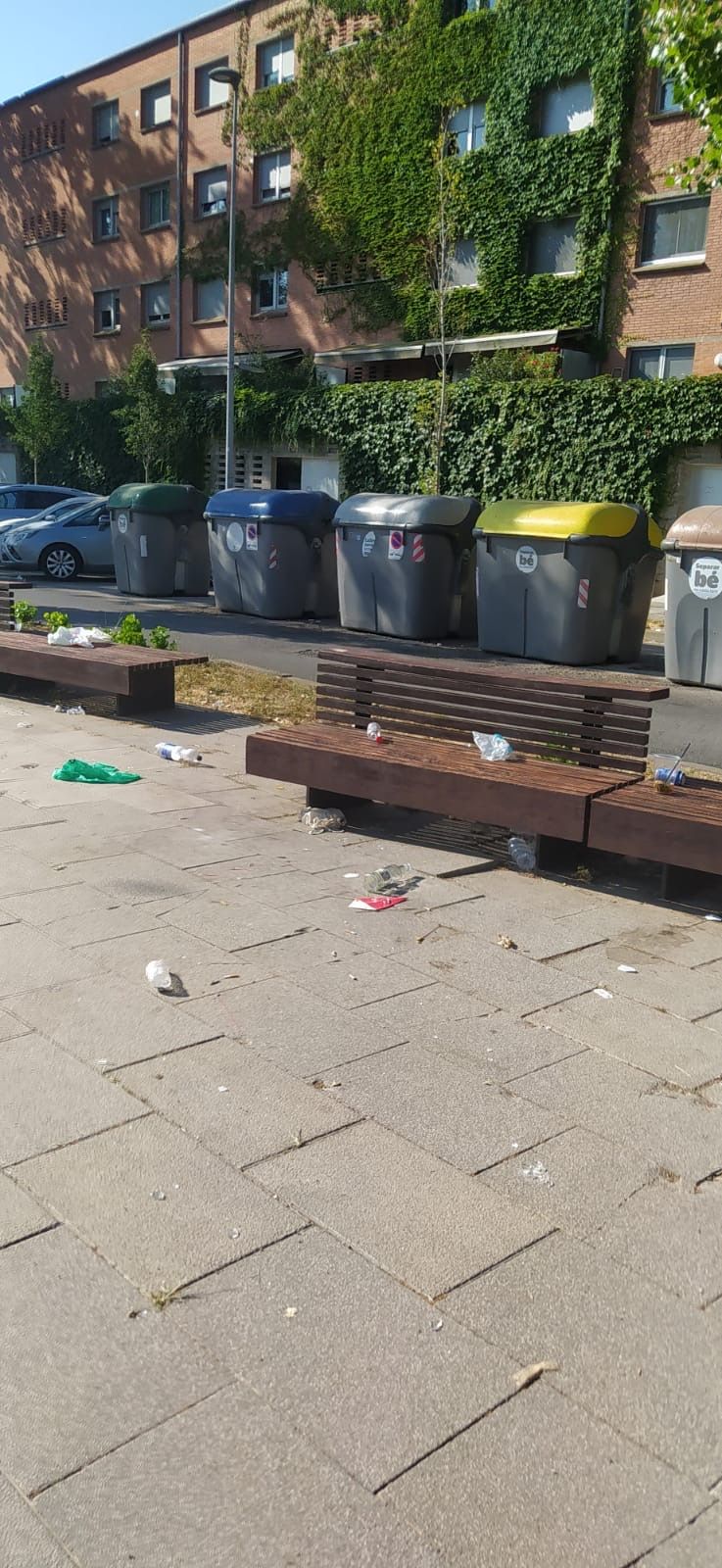 Vidres al parc de la Pollancreda. FOTO: M. Àngels Fernandez