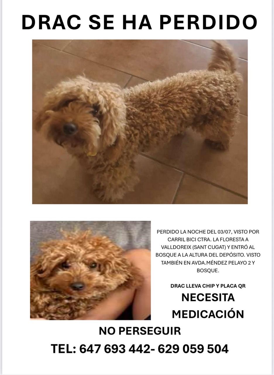 PHOTO 2025 07 12 13 39 26